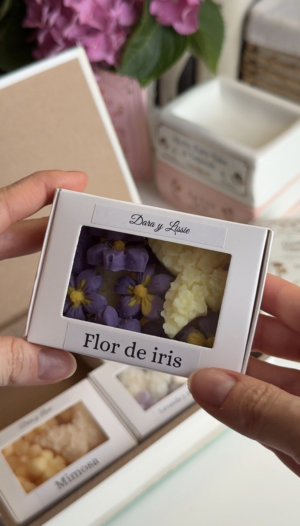 Caja Libro & Colección Aromática (Jardín Secreto)