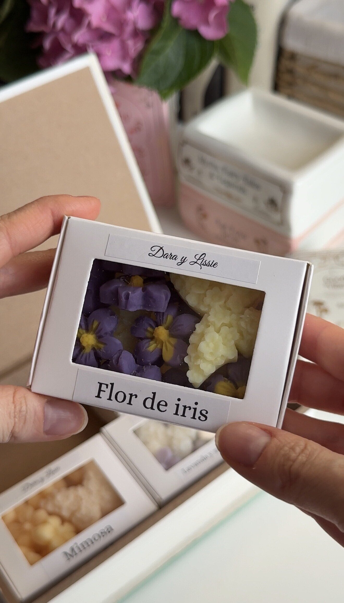 Caja Libro & Colección Aromática (Jardín Secreto)