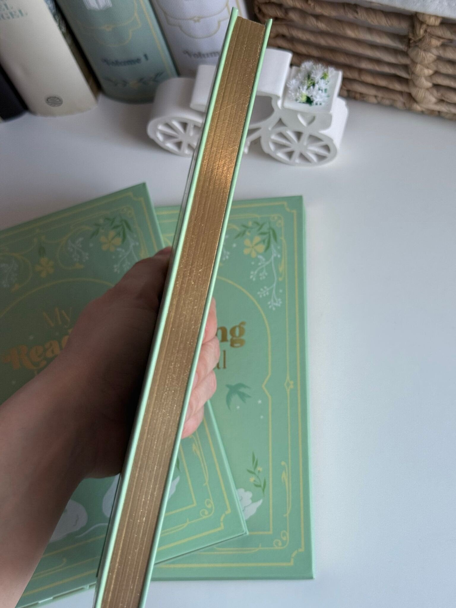 My Reading Journal | Mi diario de lectura A5