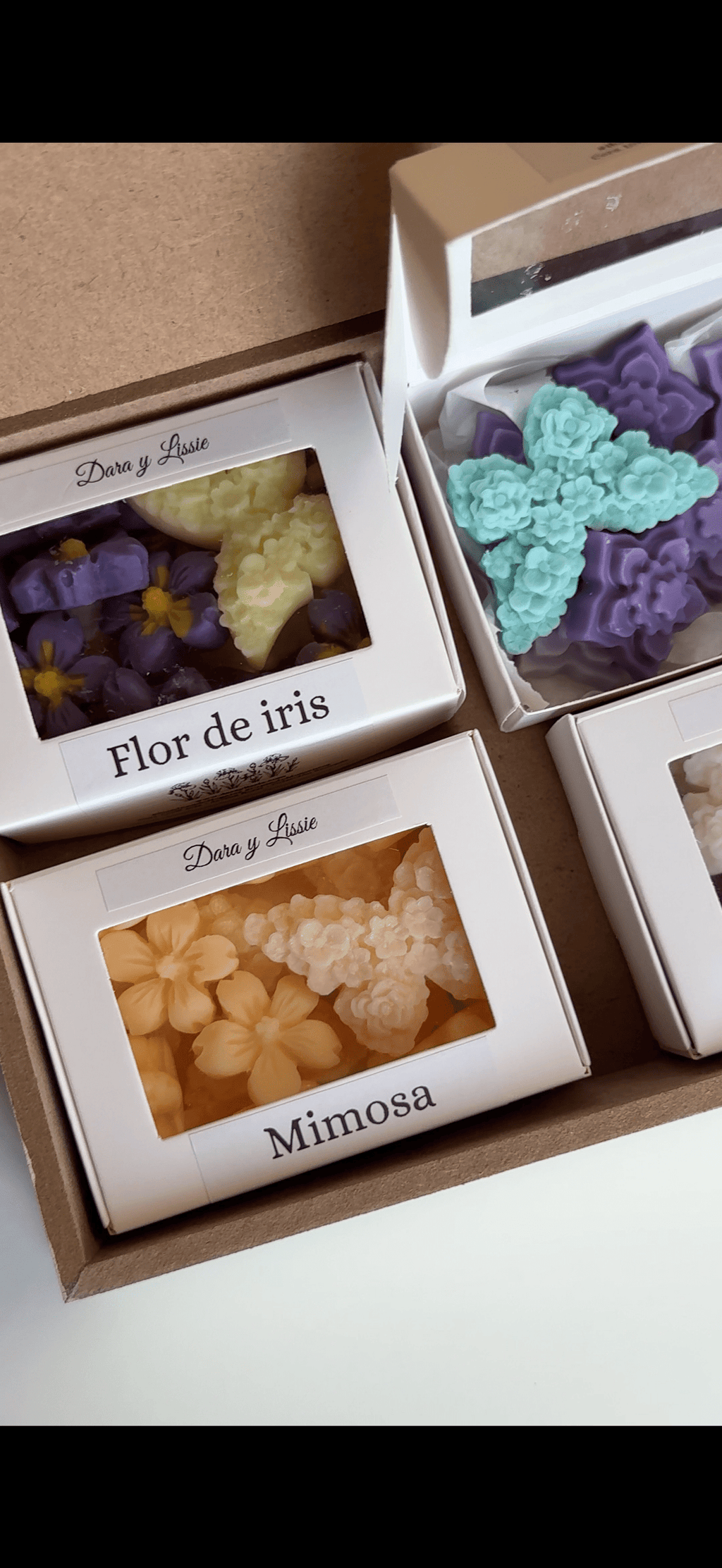 Caja Libro & Colección Aromática (Jardín Secreto)