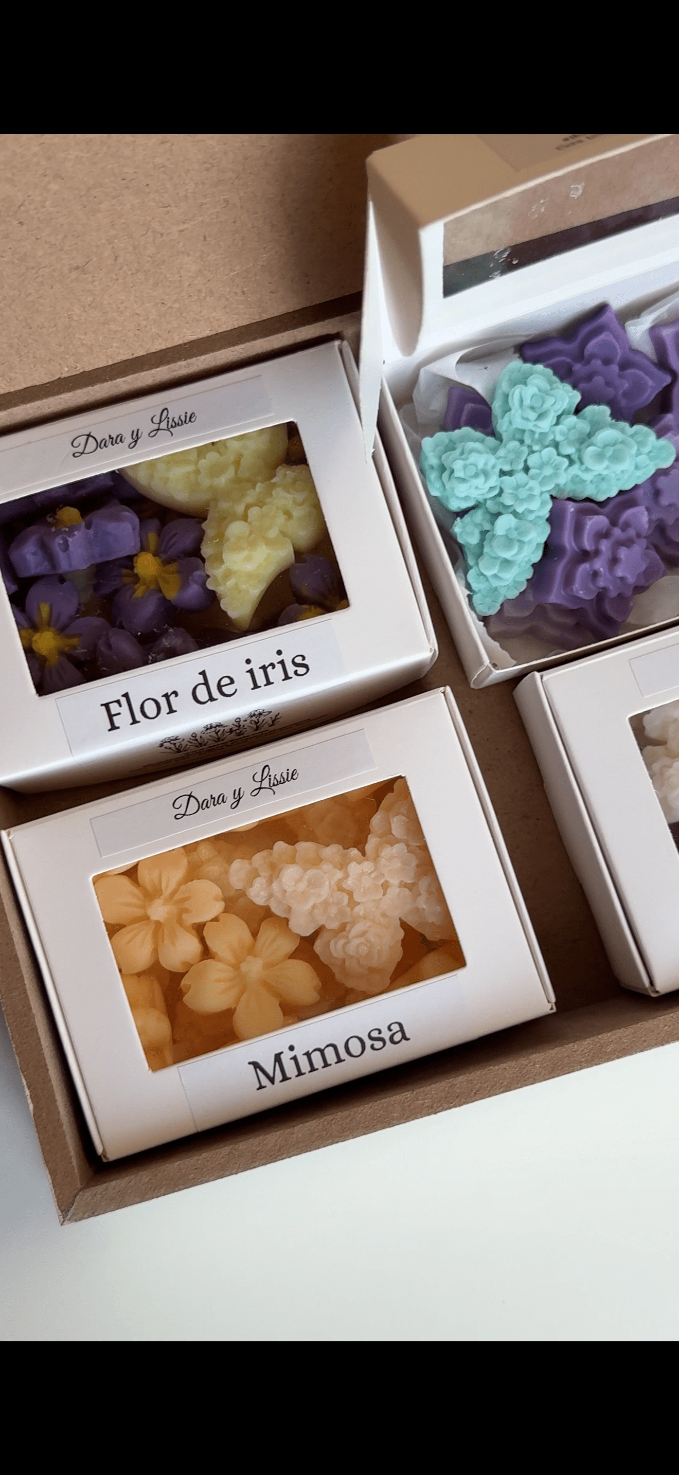 Caja Libro & Colección Aromática (Jardín Secreto)