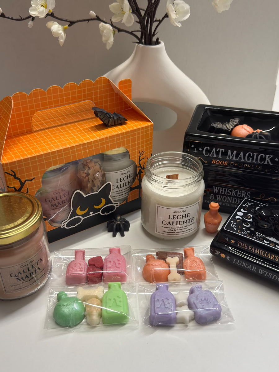 Pack Quemador Libro de pociones + Caja el Ritual de Migas: Pack vela, wax melt XL galleta, 4 bolsas wax melts y quemador libro pociones