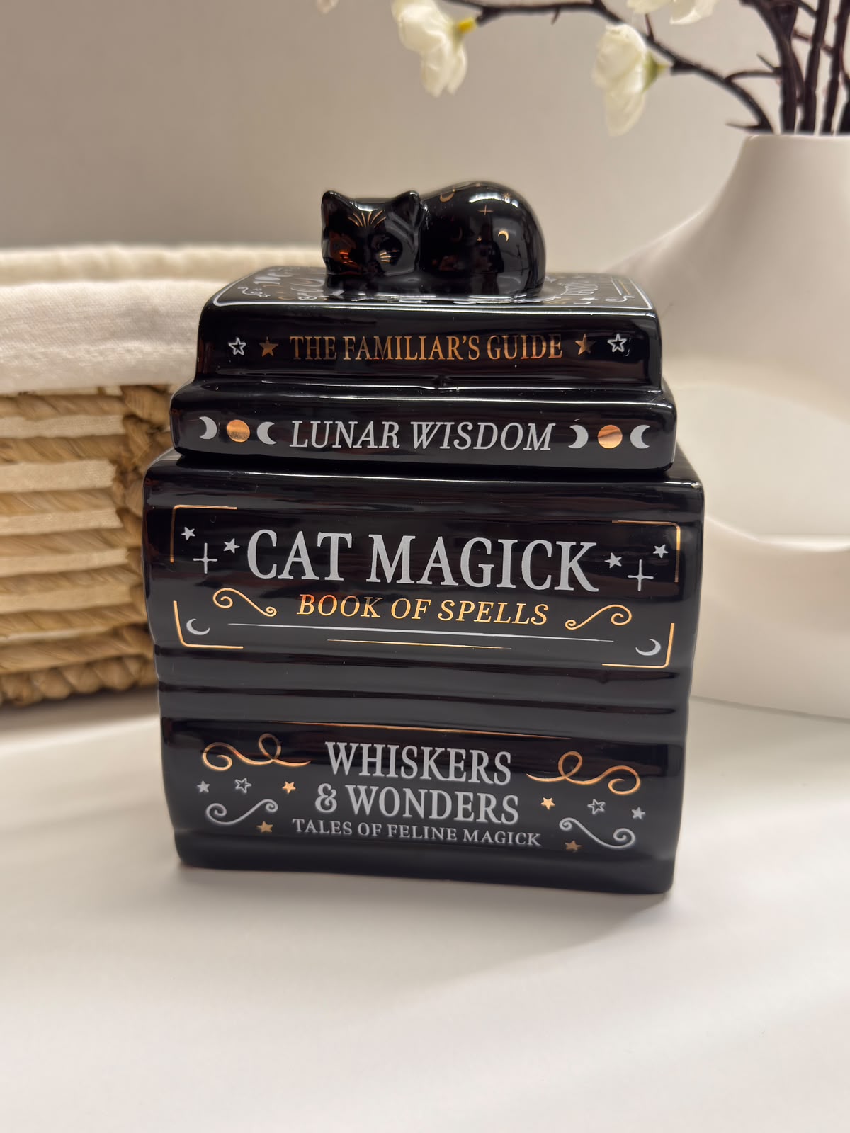 Quemador de libros de hechizos con gato