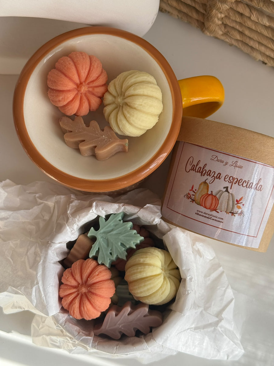 Calabaza Especiada · Wax Melts Pumpkin Spice